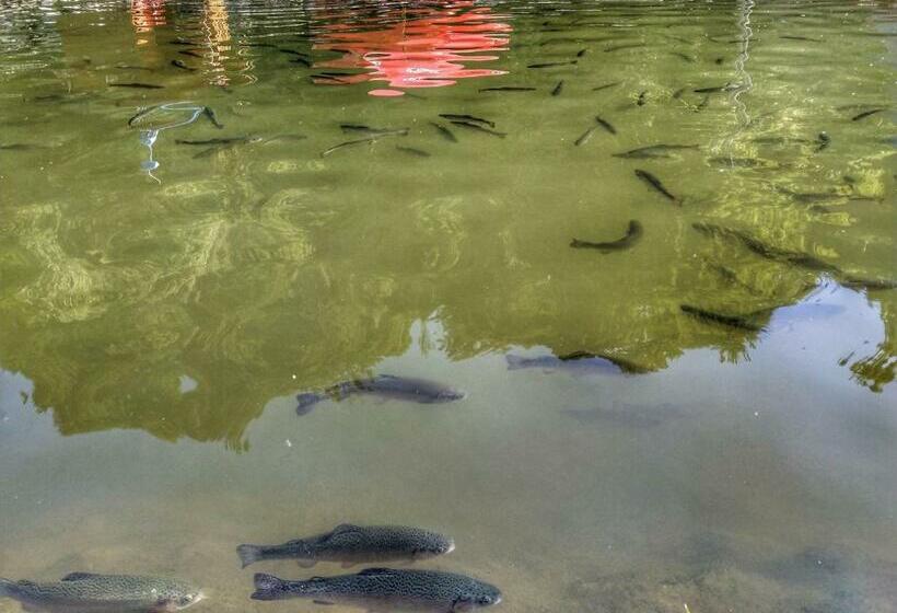 חדר סטנדרט נוף לאגם, Pastravaria Romani