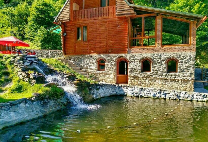 חדר סטנדרט עם מרפסת, Pastravaria Romani