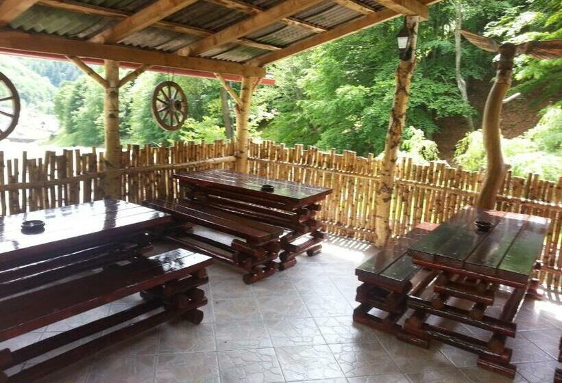 חדר סטנדרט עם מרפסת, Pastravaria Romani