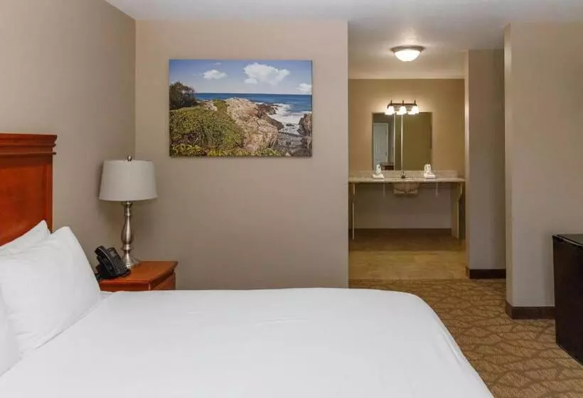 身障者適用キングサイズベッドルーム, Admiral S Inn Resort