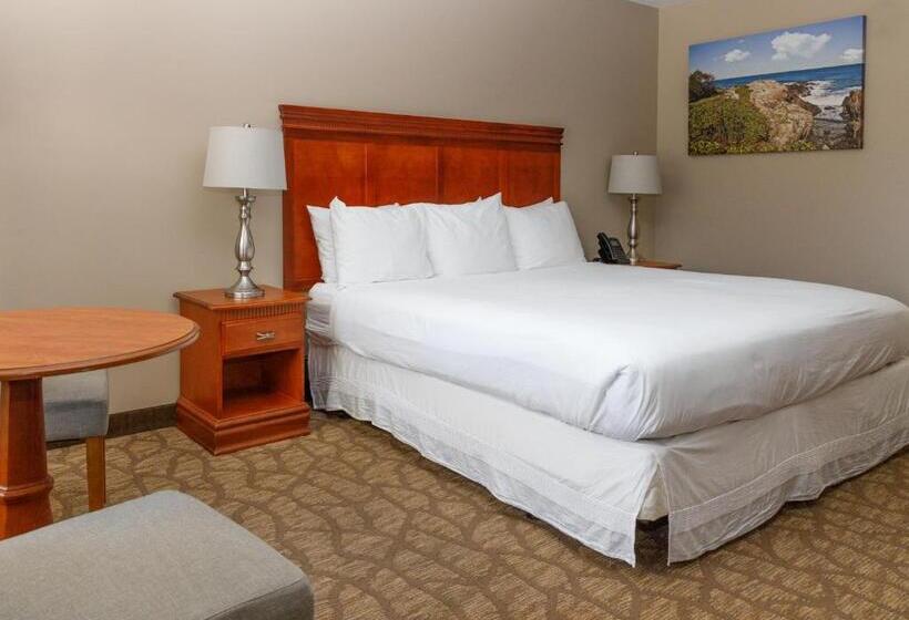 Номер Стандарт Кровать Кинг Адаптированный для Инвалидов, Admiral S Inn Resort