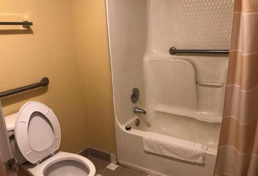 带大床的高级房间, Americas Best Inn Savannah I 95