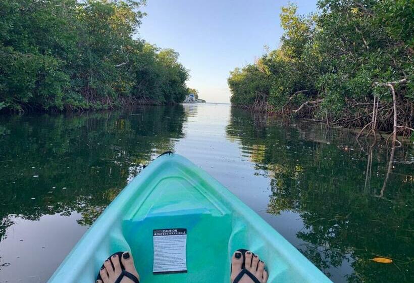 غرفة قياسية ذات إطلالة, Coconut Cay Resort
