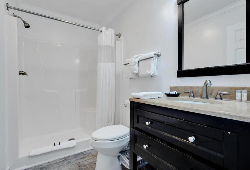 غرفة ديلوكس سرير كينج, Coconut Cay Resort