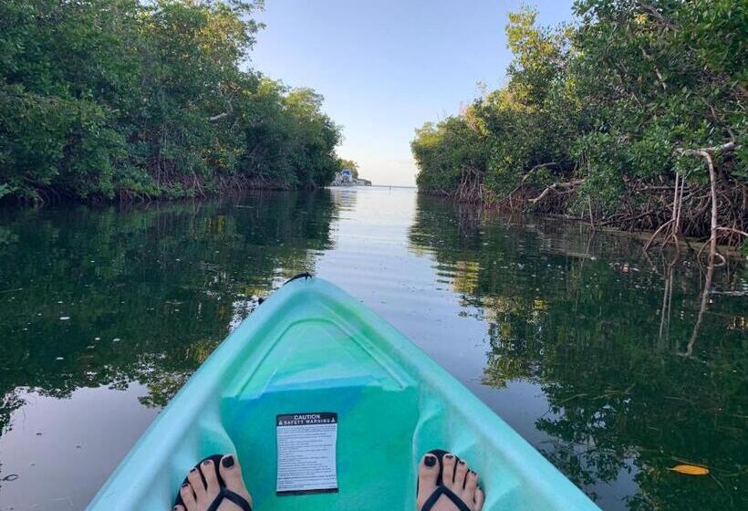 غرفة قياسية مطلّة علي حمام السباحة, Coconut Cay Resort