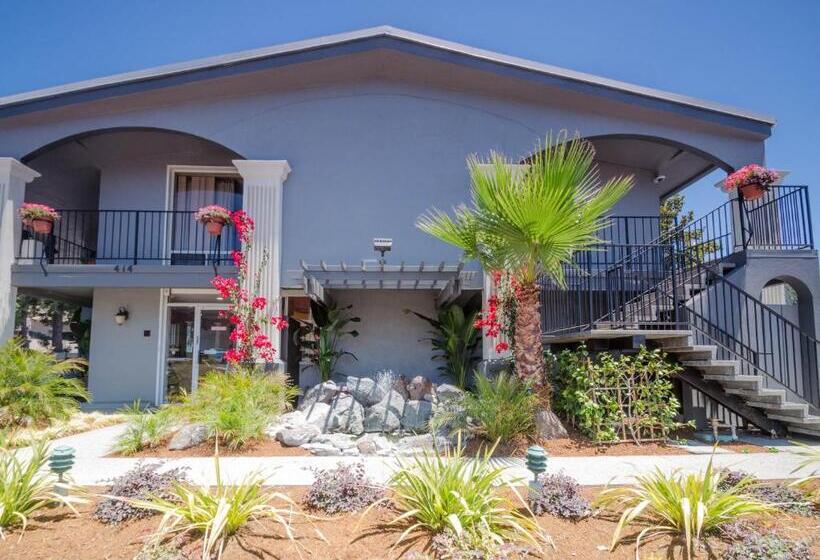 غرفة قياسية, Continental Inn