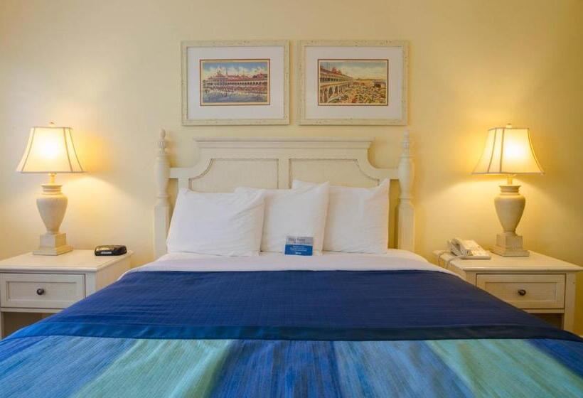 غرفة قياسية سرير كينج, Continental Inn