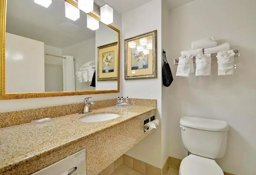 スタンダードルーム, Country Inn & Suites By Radisson Charleston North Sc