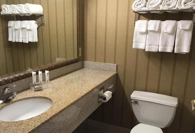 غرفة قياسية, Spark By Hilton Woodbridge