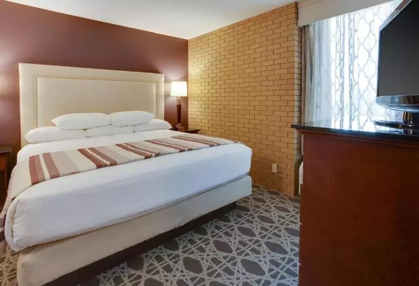 キングサイズベッドのスイートルーム, Drury Inn & Suites Louisville East