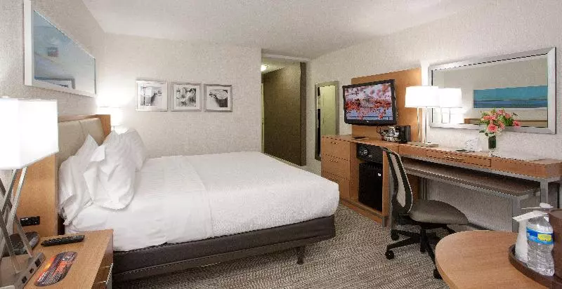 身障者適用スタンダードルーム, Hampton Inn Los Angeles Int'l Airport/hawthorne