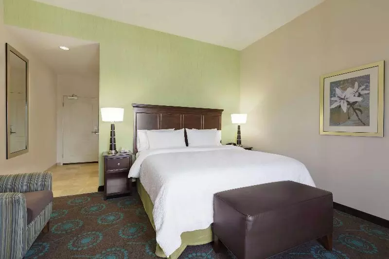 キングサイズベッドのスタンダードルーム, Hampton Inn Los Angeles Int'l Airport/hawthorne