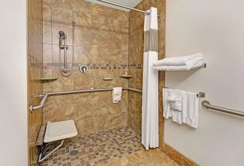 身障者適用スタンダードルーム, Microtel Inn & Suites Cheyenne