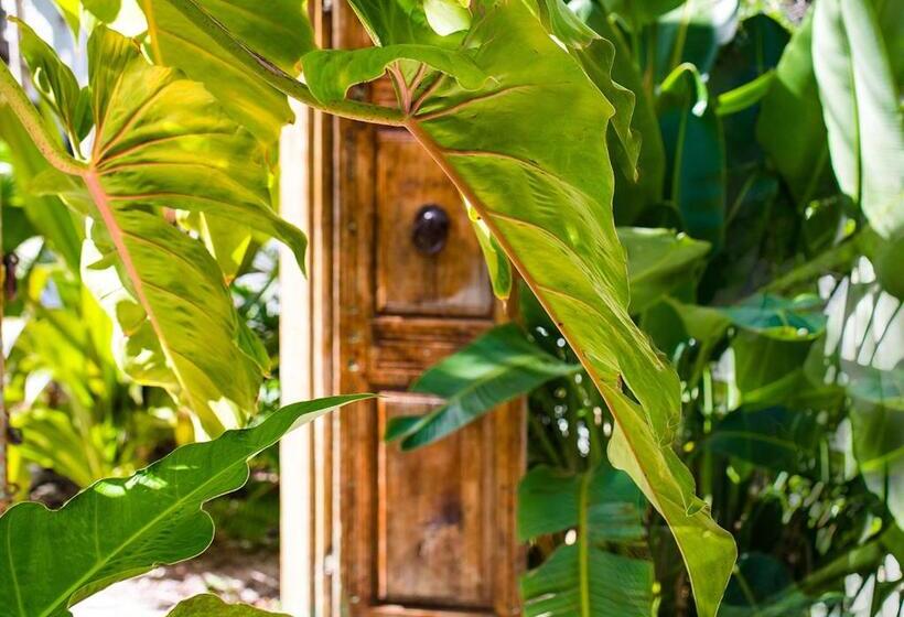 חדר סטנדרט עם מיטת קינג, Parrot Key Hotel & Villas