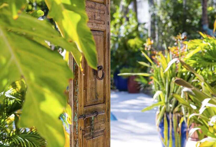 חדר סטנדרט, Parrot Key Hotel & Villas