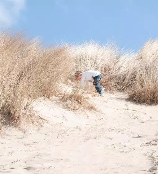 コンフォートルーム, Strandhotel Bos En Duin