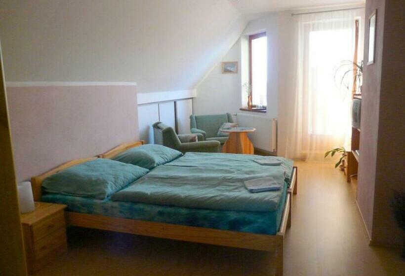 غرفة قياسية مزوَّدة بشُرفة, Penzion Tatry