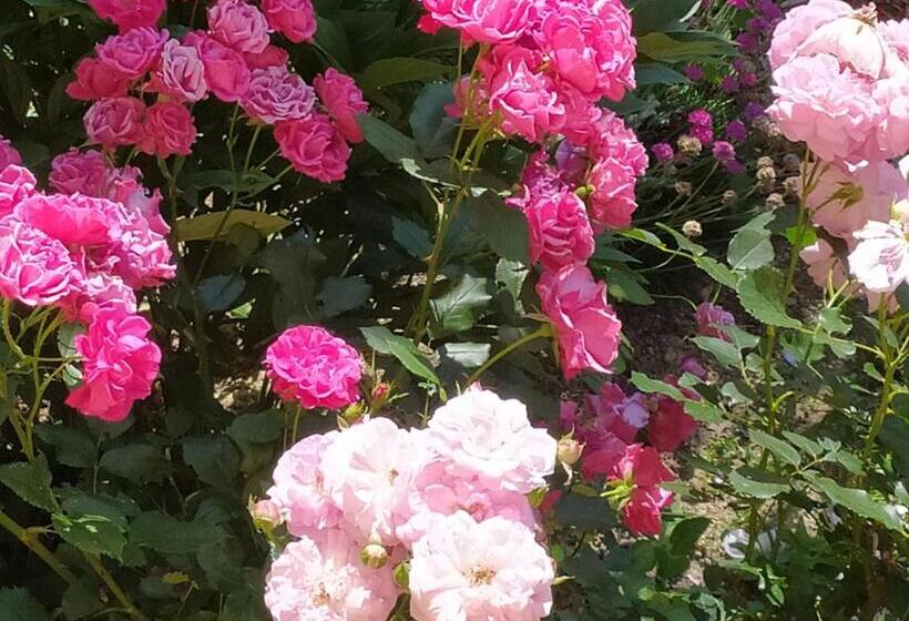 غرفة ديلوكس, Penzion Tatry