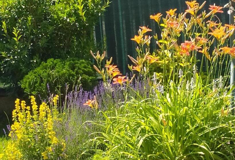 غرفة كلاسيكية ثلاثية, Penzion Tatry