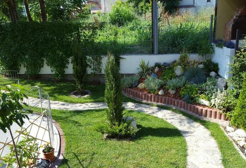 Номер Стандарт с Террасой, Plexus Boutique