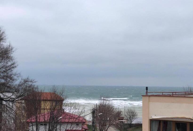 Family Suite, Plexus Boutique