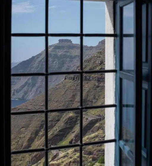 اتاق لوکس, Delion View