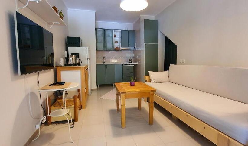 带1个卧室带花园景观的公寓, A&b Home