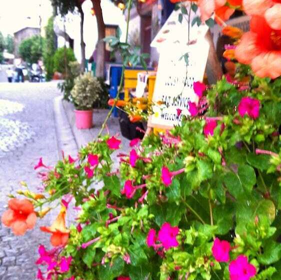 エコノミールーム, Antique