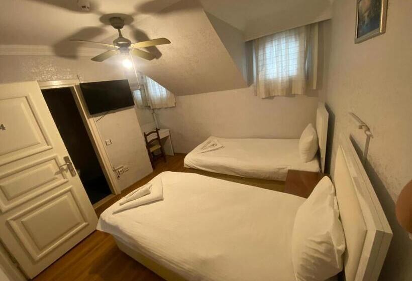 エコノミールーム, Antique