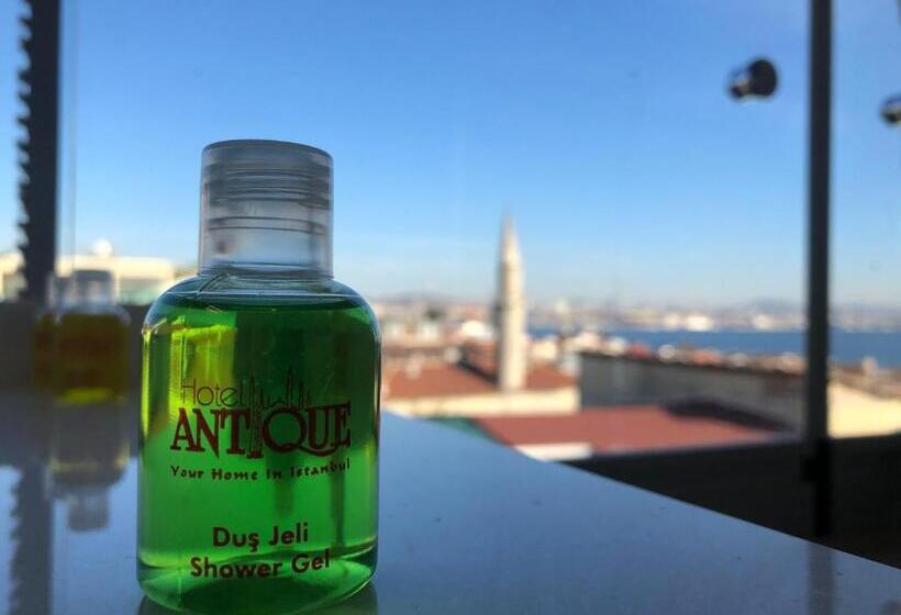 テラス付きシングルルーム, Antique