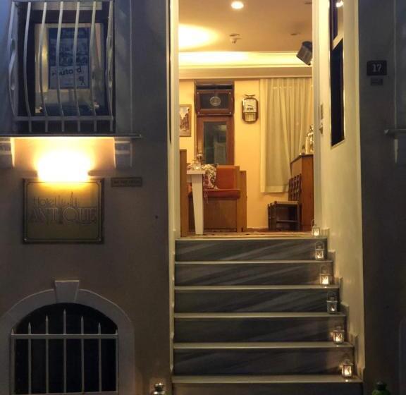 テラス付きシングルルーム, Antique