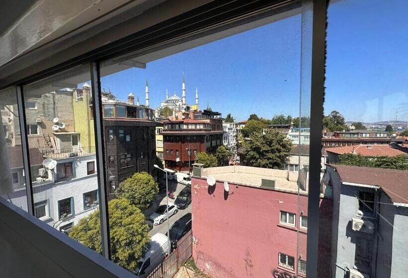 テラス付きシングルルーム, Antique