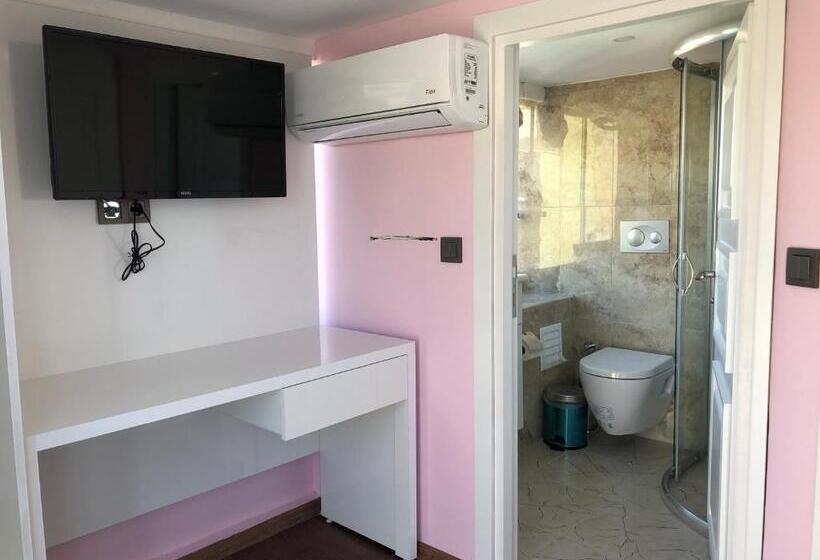 テラス付きシングルルーム, Antique