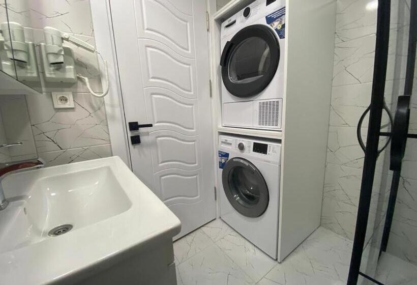 1ベッドルームのデラックスアパートメント, Antique