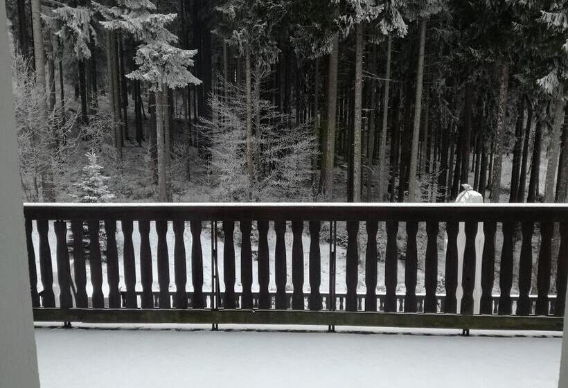 Студия Стандарт, Corum