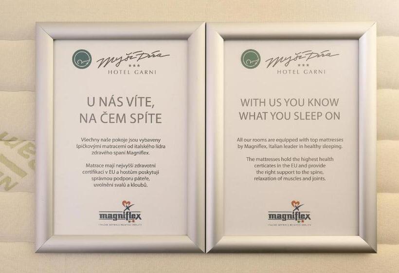 غرفة قياسية لذوى الاحتياجات الخاصة, Garni Myší Díra