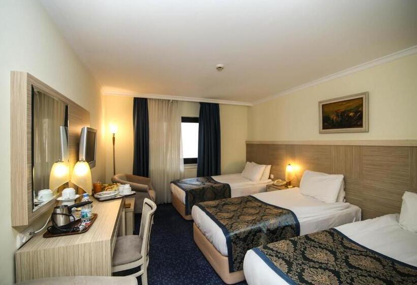 اتاق استاندارد سه نفره, Atakule King