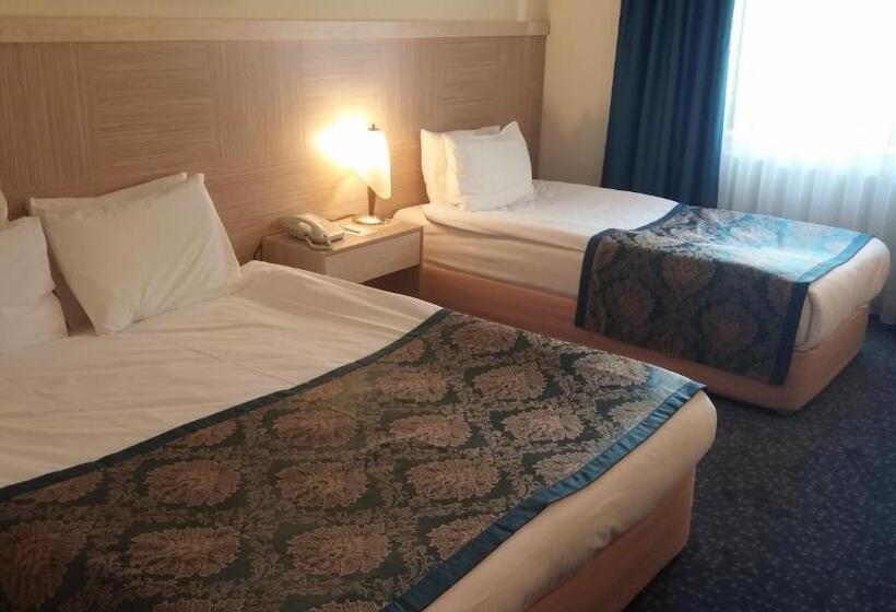 اتاق استاندارد سه نفره, Atakule King