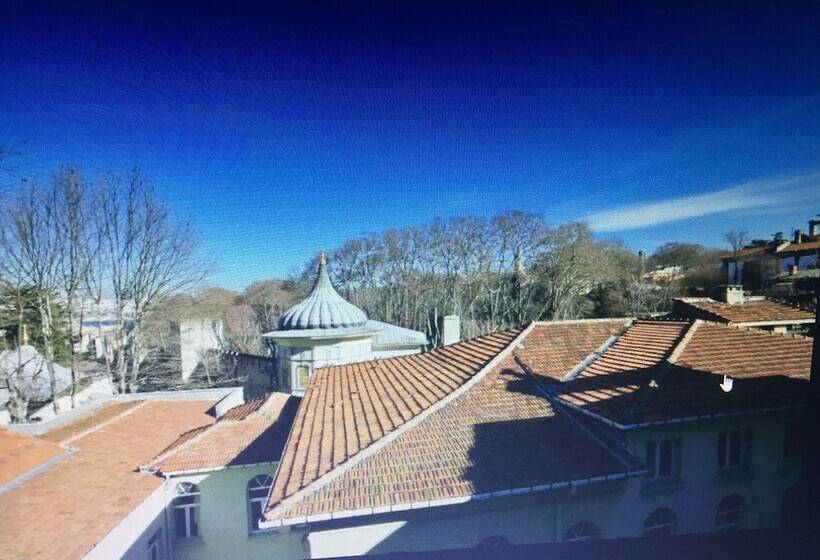 اتاق استاندارد با چشمانداز پارک, Le Safran Suite