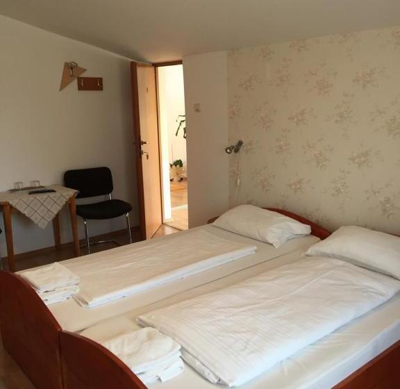 스탠다드 룸, Pensiunea Kristine Sibiu