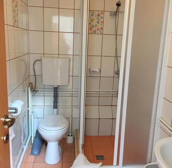 스탠다드 룸, Pensiunea Kristine Sibiu