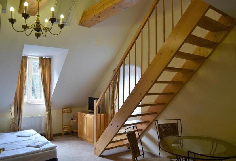 اتاق دوبلکس, Petr