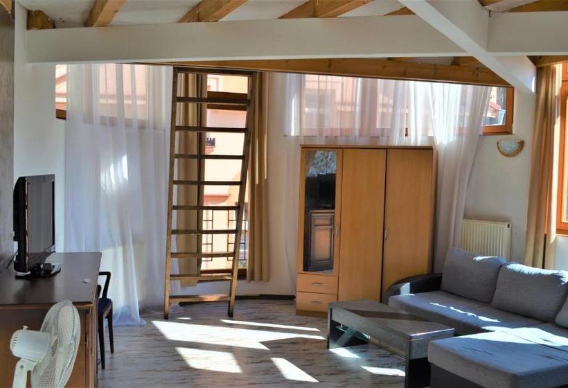 اتاق دوبلکس, Petr