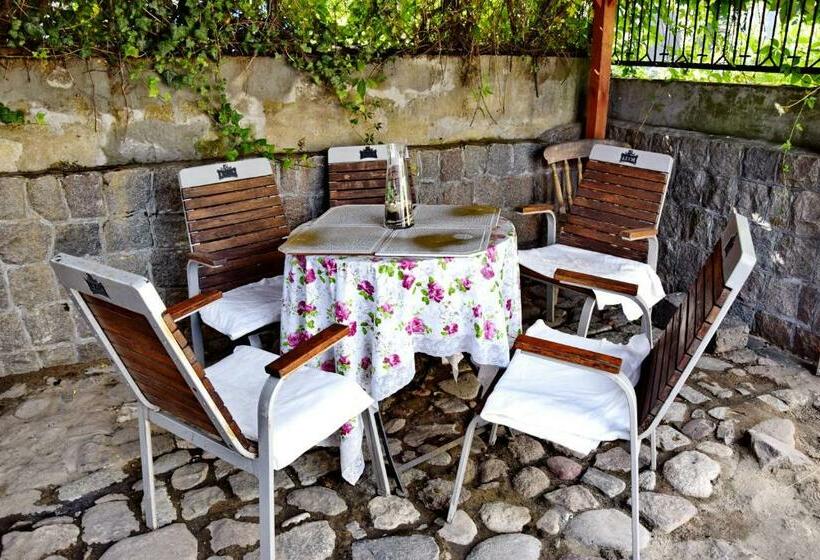 スタンダードルーム, Villa Asesor