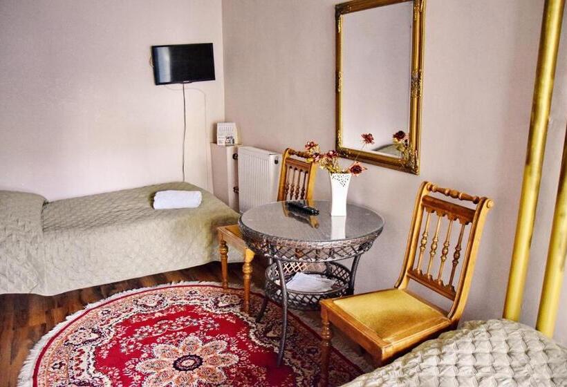 Номер Стандарт, Villa Asesor