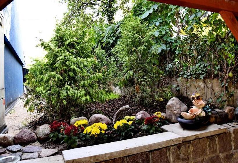 スタンダードシングルルーム, Villa Asesor