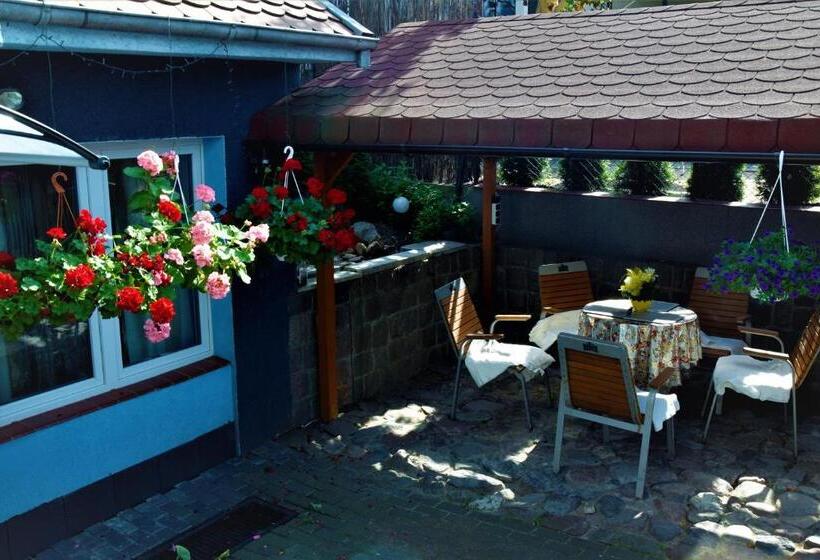 スタンダードルーム, Villa Asesor