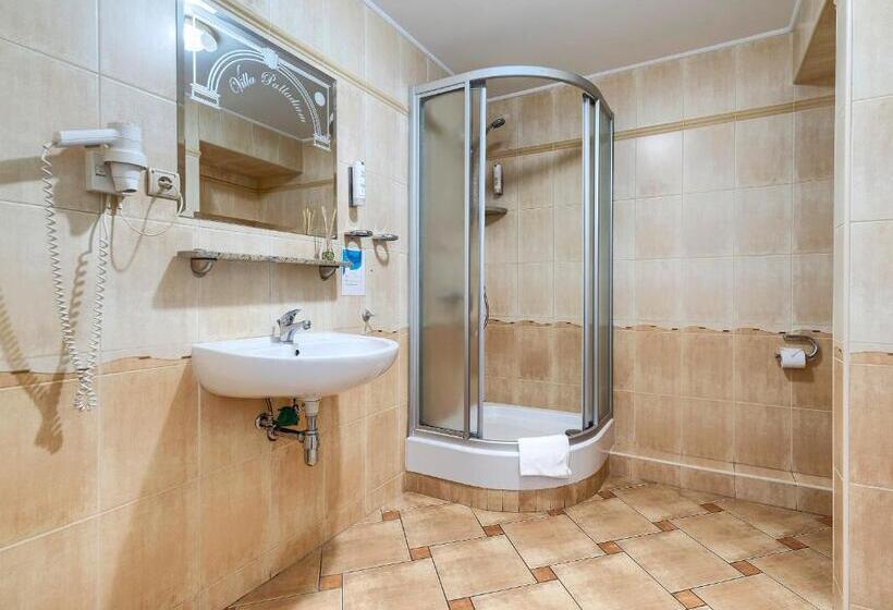 标准间, Villa Palladium