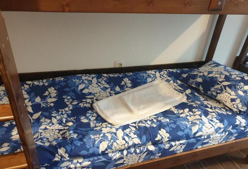 스탠다드 4인용 룸 공용 욕실, Vintage Downtown Hostel