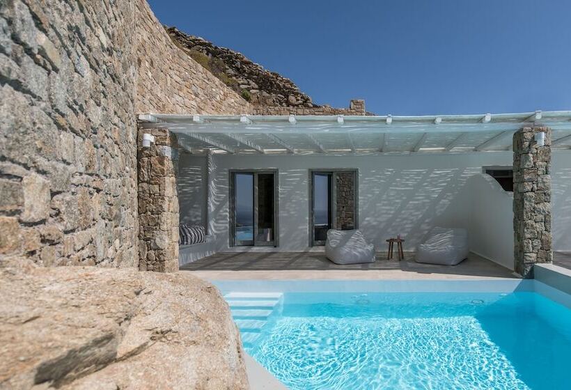 Suite Vue Mer, Arocaria